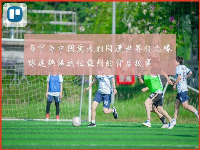 马宁与中国意大利同遭世界杯无缘球迷热捧这位裁判的背后故事